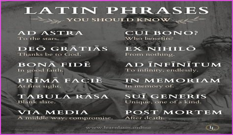 A Profile Of A Latin Beauty