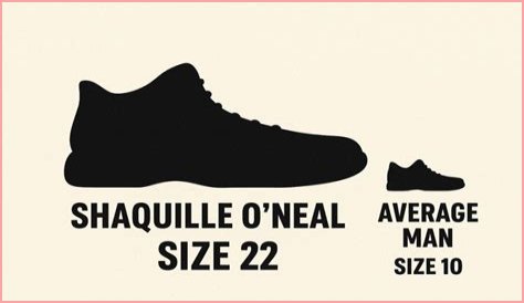 Discover Shaq's Gigantic Shoe Size
